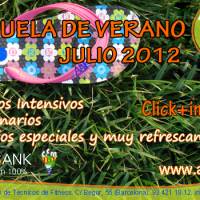 ESCUELA DE VERANO JULIO 2012
