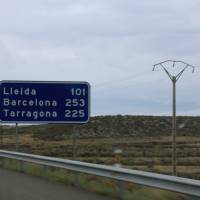 CALI Y EL DANDEE EN CARPES LERIDA LLEIDA