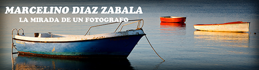 MARCELINO DIAZ ZABALA