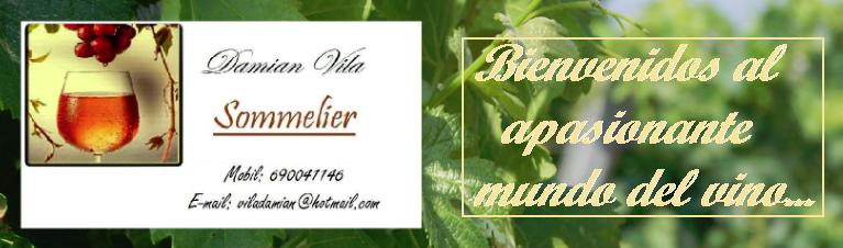 Dami Vila Sommelier