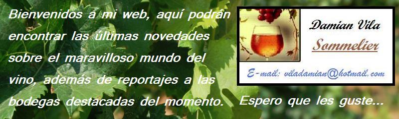 Dami Vila Sommelier