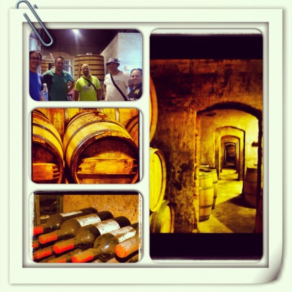 myegoo_img1084