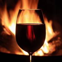 Selección de Vinos Tintos 2011