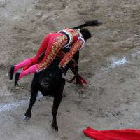cogidas