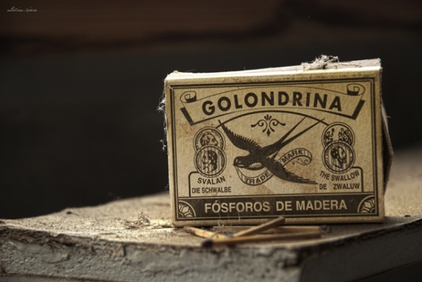 myegoo_golondrinafinalcopia