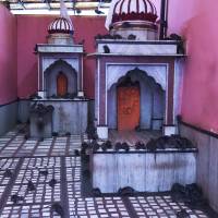 BIKANER - TEMPLO DE LAS RATAS (KARNI MATA).