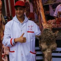 CASABLANCA - CARNICERO EN HABOUS.