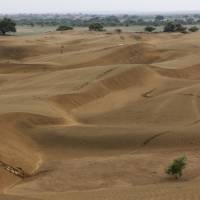 JAISALMER - DESIERTO THAR.