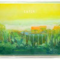 LATER  / técnica mixta tras metacrilato / 43 x 53 cm