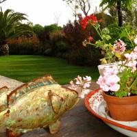 Jardín en Estoril 