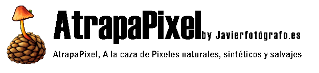 AtrapaPixel by javierfotografo.es