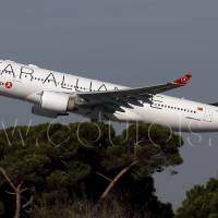 Airbus A330 - MSN 939 - TC-LNB - Turkey - THY Turkish Airlines


