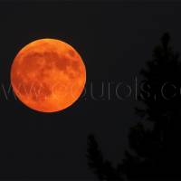 Efecto del eclipse solar sobre la luna Llena