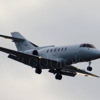 British Aerospace BAe 125-800B - OY-RAA - Air Alsie 
