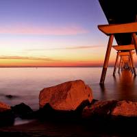 Pont del Petroli - Badalona - BCN