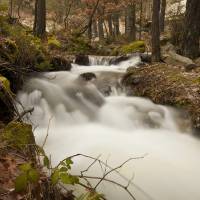 Rio Pradillo