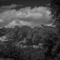 Las rocas, abrazadas por la niebla, escriben su propio poema.