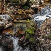 Arroyo de la Umbria