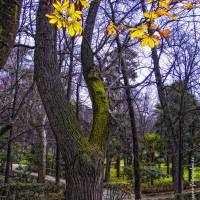 PARQUE DEL BUEN RETIRO