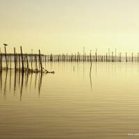 L'Albufera - Valencia