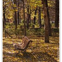 EL RETIRO