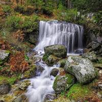 Arroyo de la Navazuela